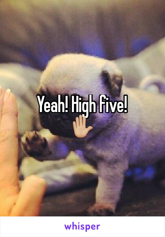 Yeah! High five!
✋🏼