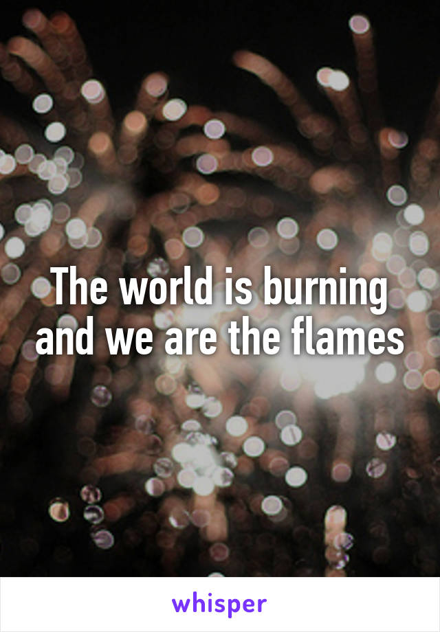 The world is burning and we are the flames