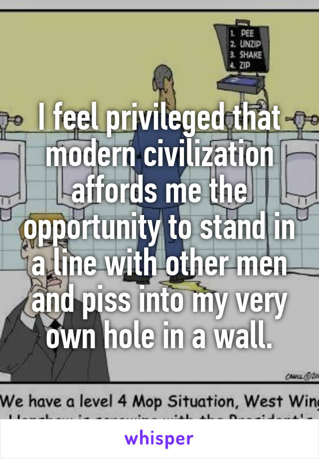 I feel privileged that modern civilization affords me the opportunity to stand in a line with other men and piss into my very own hole in a wall.