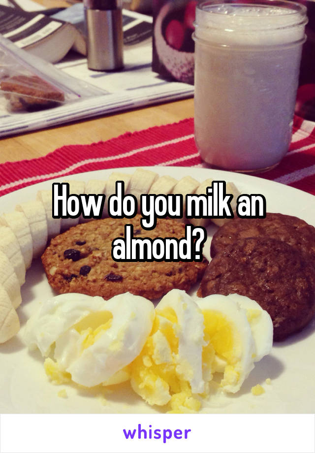 How do you milk an almond?