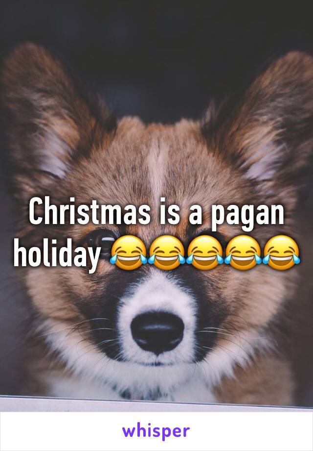 Christmas is a pagan holiday 😂😂😂😂😂