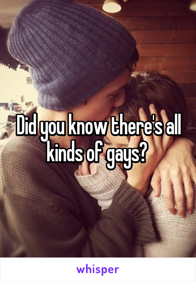 Did you know there's all kinds of gays? 