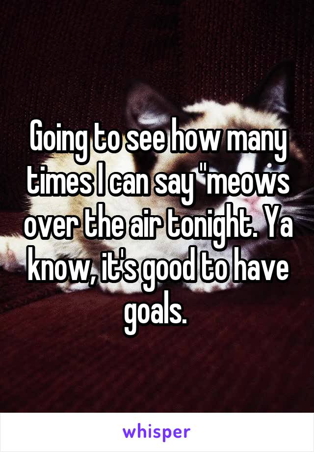 Going to see how many times I can say "meows over the air tonight. Ya know, it's good to have goals. 