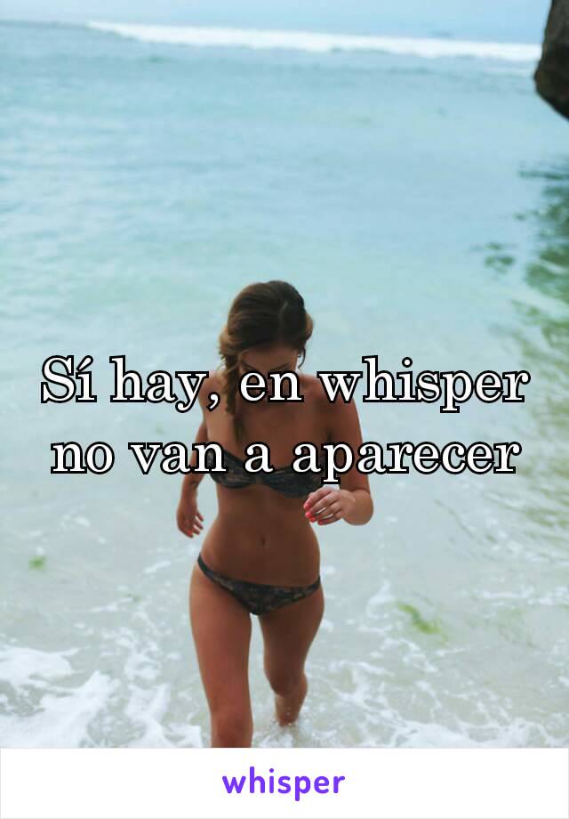 Sí hay, en whisper no van a aparecer