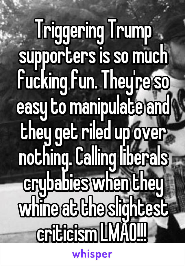 Triggering Trump supporters is so much fucking fun. They're so easy to manipulate and they get riled up over nothing. Calling liberals crybabies when they whine at the slightest criticism LMAO!!! 