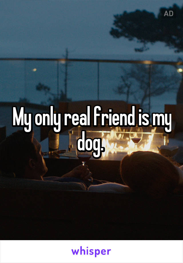 My only real friend is my dog. 