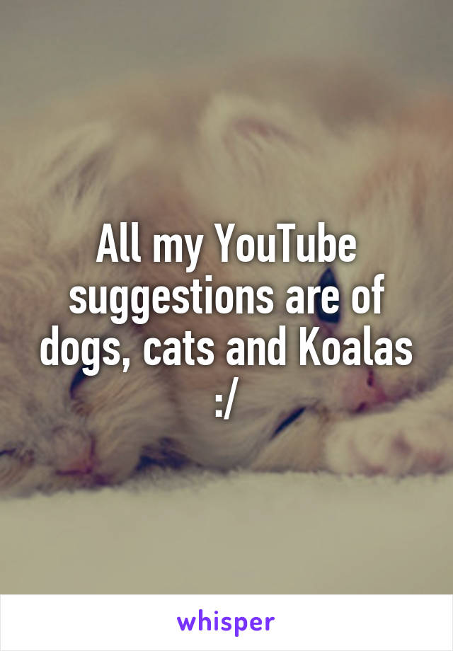 All my YouTube suggestions are of dogs, cats and Koalas :/