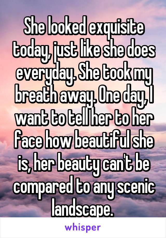 She looked exquisite today, just like she does everyday. She took my breath away. One day, I want to tell her to her face how beautiful she is, her beauty can't be compared to any scenic landscape. 