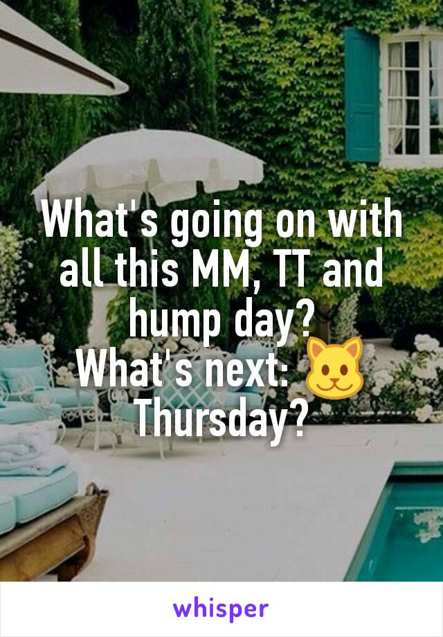 What's going on with all this MM, TT and hump day?
What's next: 🐱 Thursday?