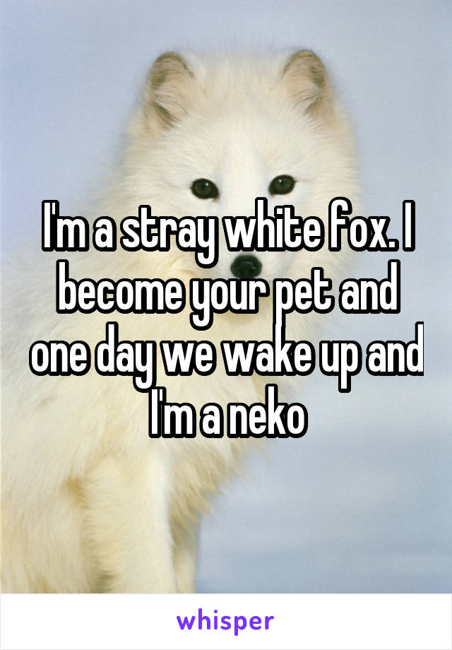 I'm a stray white fox. I become your pet and one day we wake up and I'm a neko