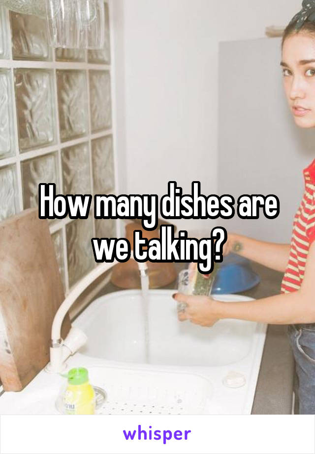 How many dishes are we talking?