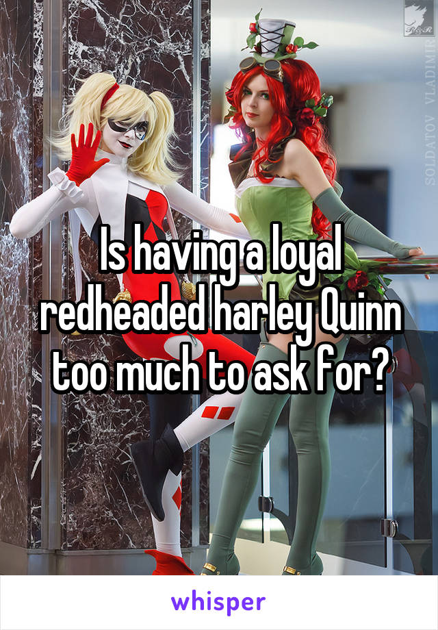 Is having a loyal redheaded harley Quinn too much to ask for?