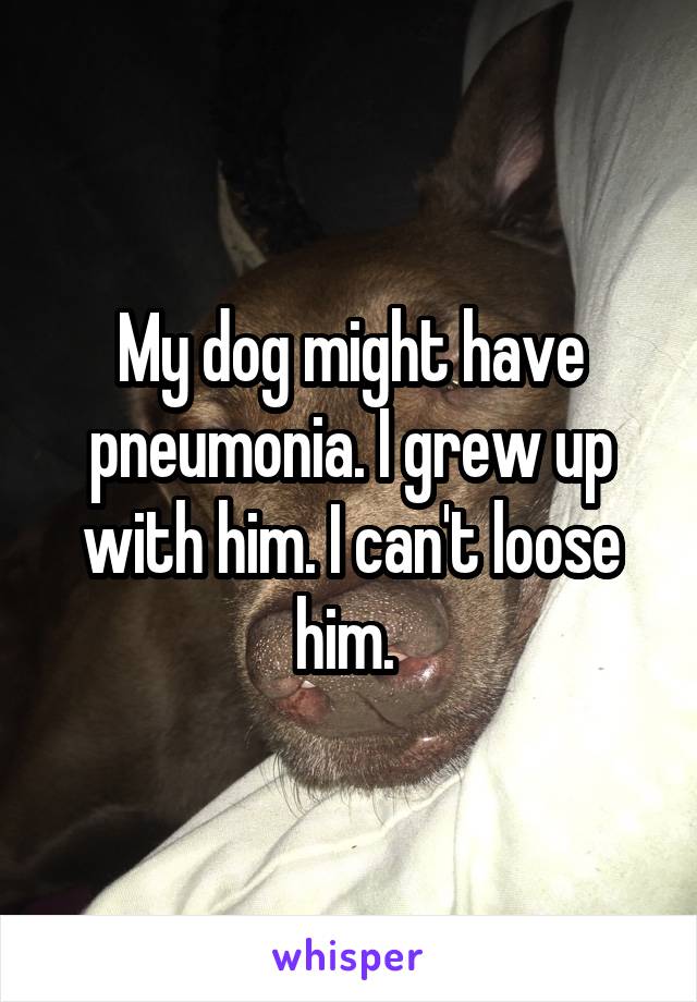 My dog might have pneumonia. I grew up with him. I can't loose him. 