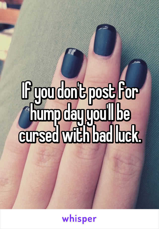 If you don't post for hump day you'll be cursed with bad luck.