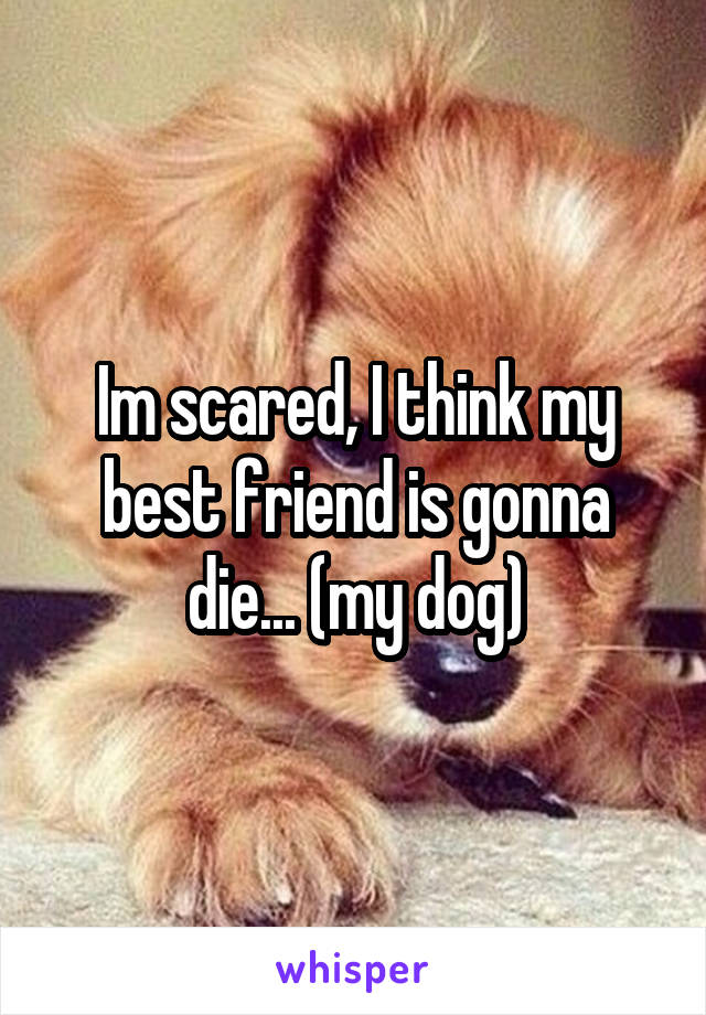 Im scared, I think my best friend is gonna die... (my dog)