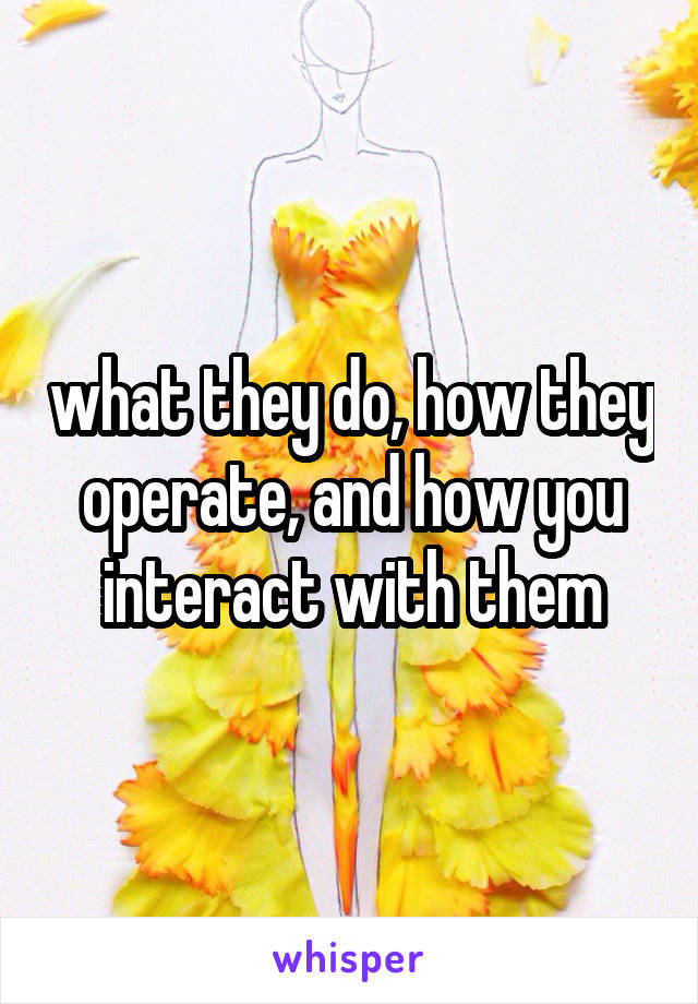 what they do, how they operate, and how you interact with them
