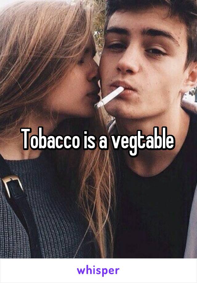 Tobacco is a vegtable 