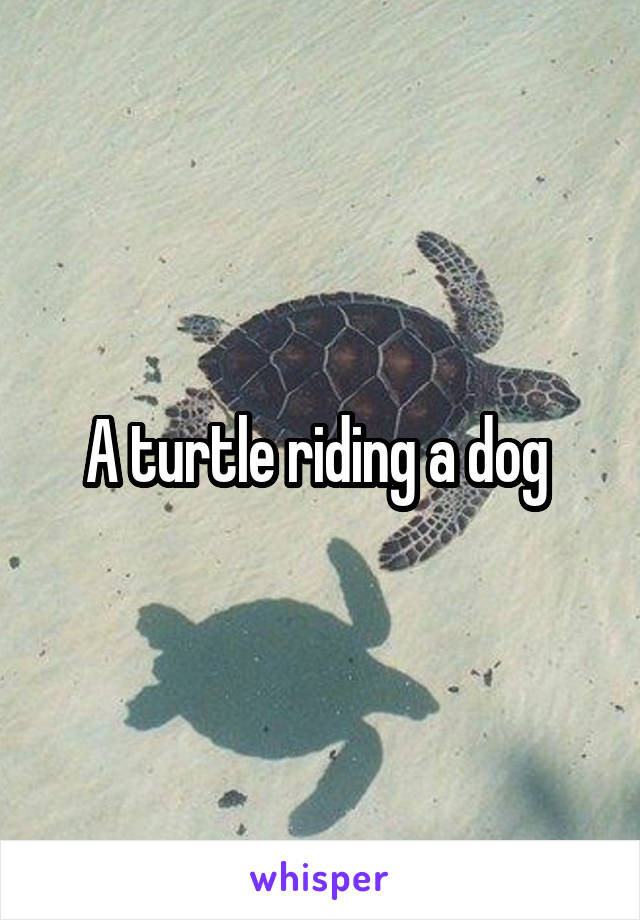 A turtle riding a dog 