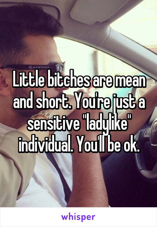 Little bitches are mean and short. You're just a sensitive "ladylike" individual. You'll be ok.