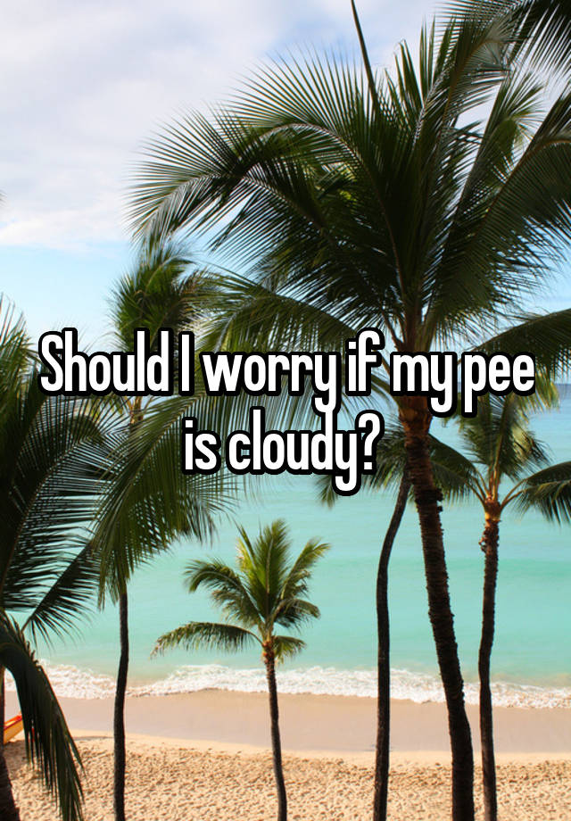 should-i-worry-if-my-pee-is-cloudy