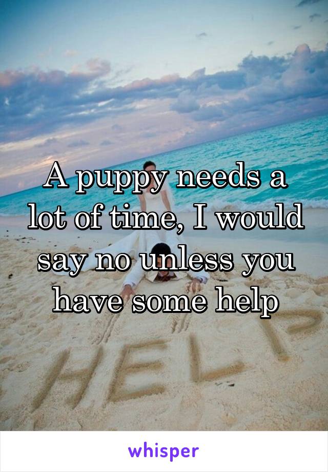 A puppy needs a lot of time, I would say no unless you have some help