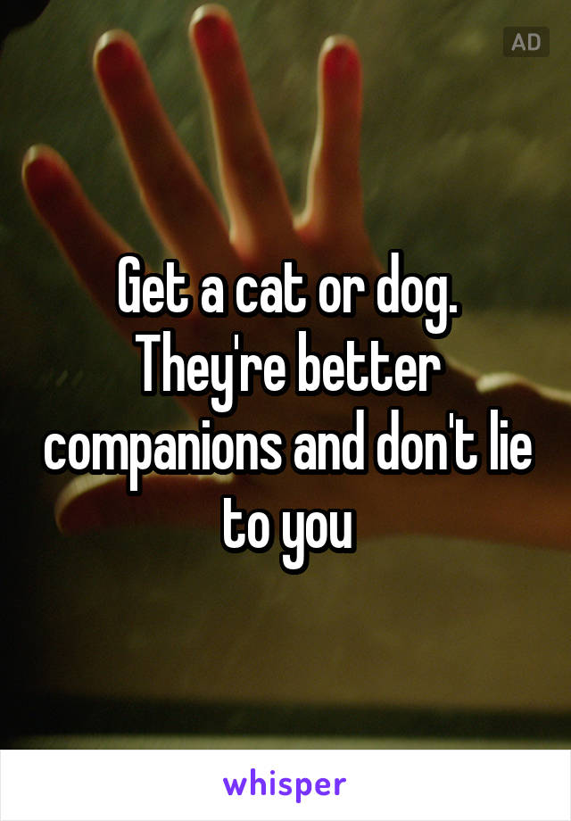 Get a cat or dog. They're better companions and don't lie to you