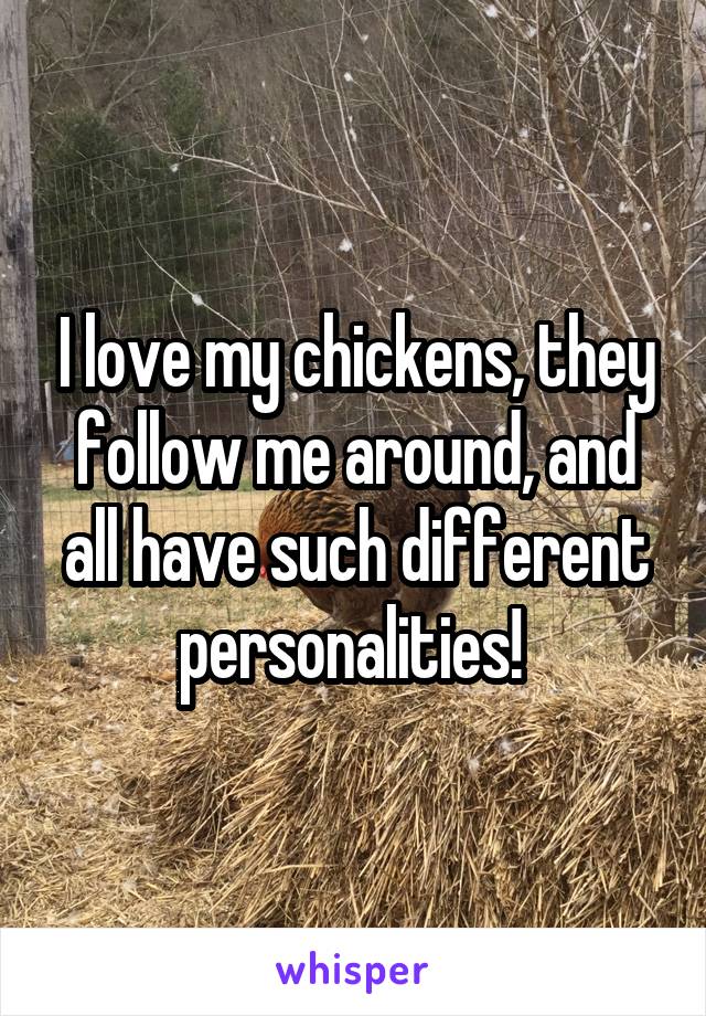 I love my chickens, they follow me around, and all have such different personalities! 