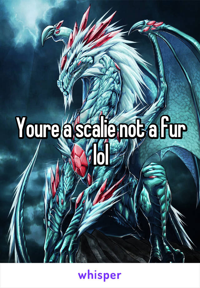 Youre a scalie not a fur lol