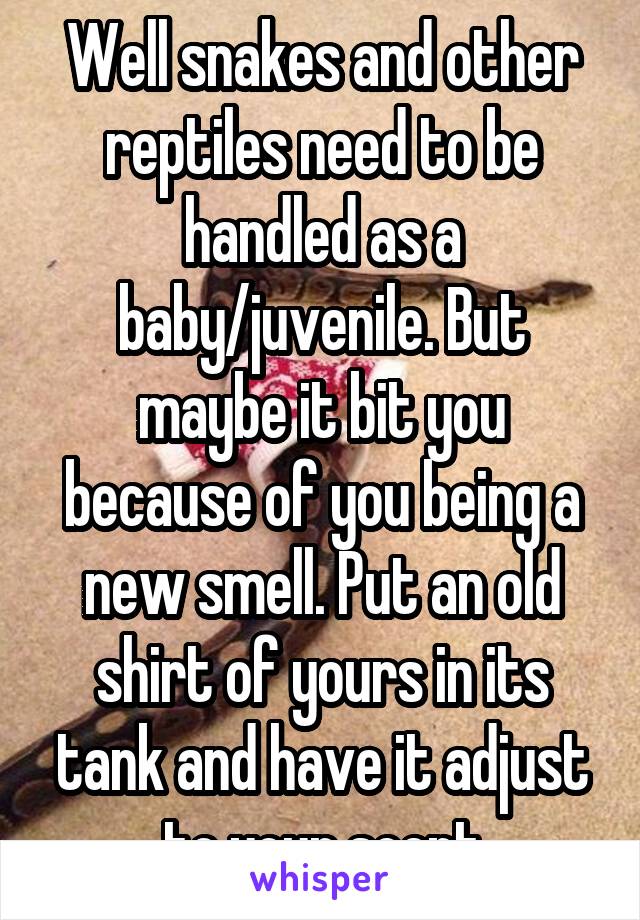Well snakes and other reptiles need to be handled as a baby/juvenile. But maybe it bit you because of you being a new smell. Put an old shirt of yours in its tank and have it adjust to your scent