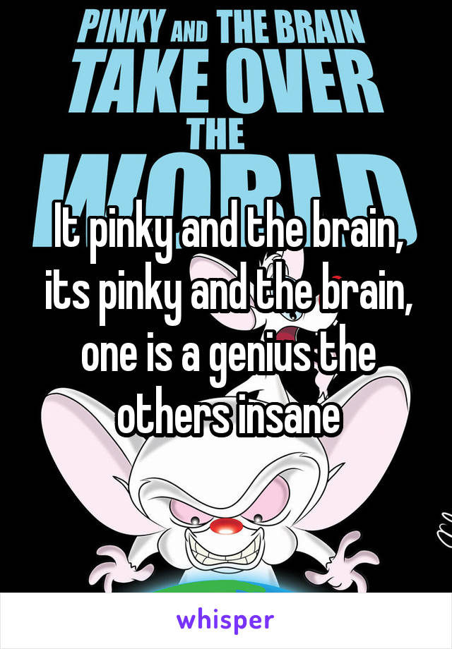 It pinky and the brain, its pinky and the brain, one is a genius the others insane