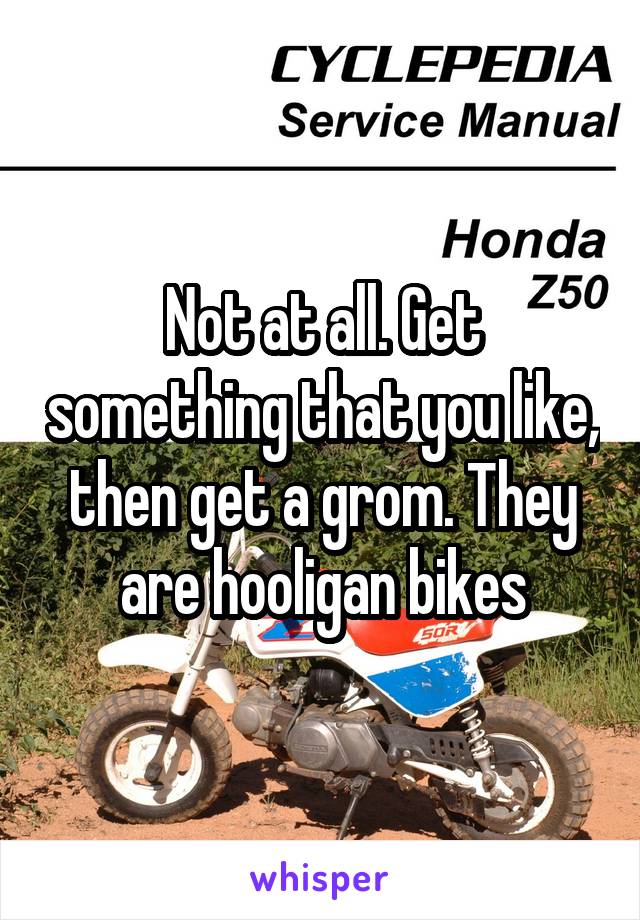 Not at all. Get something that you like, then get a grom. They are hooligan bikes