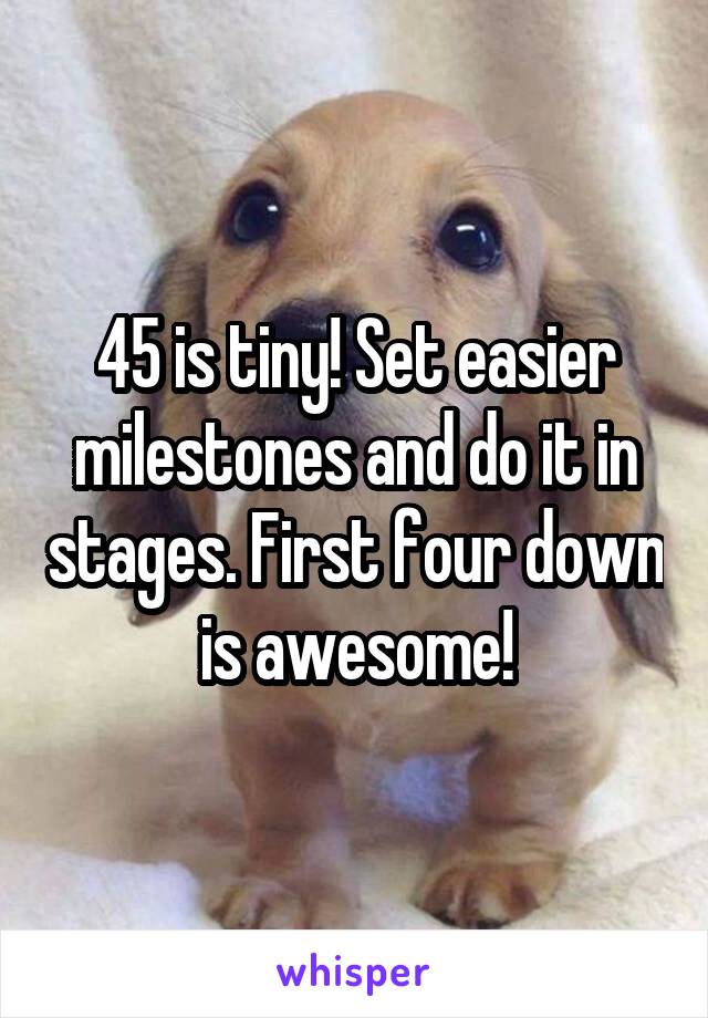 45 is tiny! Set easier milestones and do it in stages. First four down is awesome!