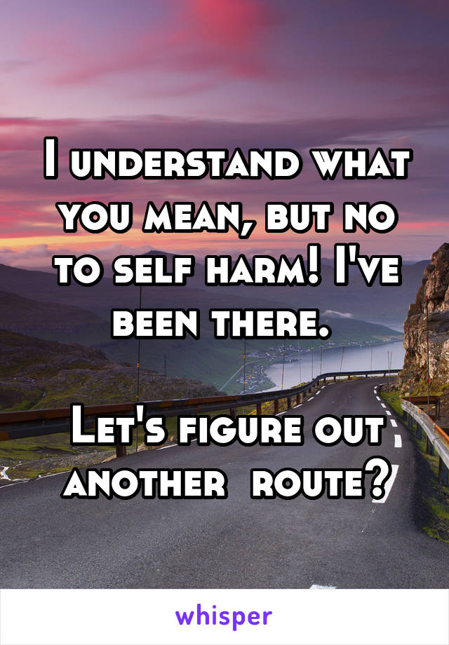 I understand what you mean, but no to self harm! I've been there. 

Let's figure out another  route?