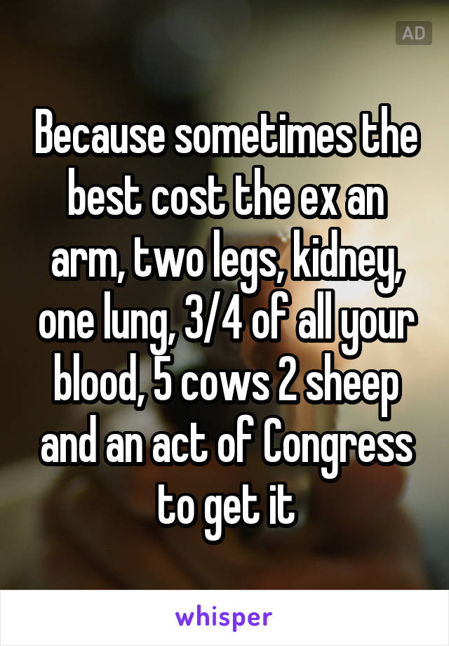 Because sometimes the best cost the ex an arm, two legs, kidney, one lung, 3/4 of all your blood, 5 cows 2 sheep and an act of Congress to get it