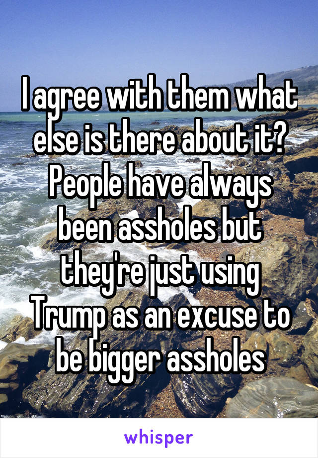 I agree with them what else is there about it? People have always been assholes but they're just using Trump as an excuse to be bigger assholes