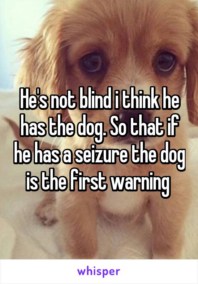 He's not blind i think he has the dog. So that if he has a seizure the dog is the first warning 