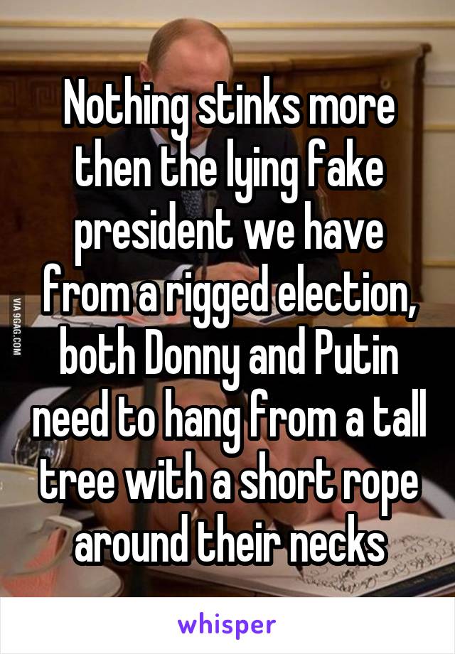 Nothing stinks more then the lying fake president we have from a rigged election, both Donny and Putin need to hang from a tall tree with a short rope around their necks