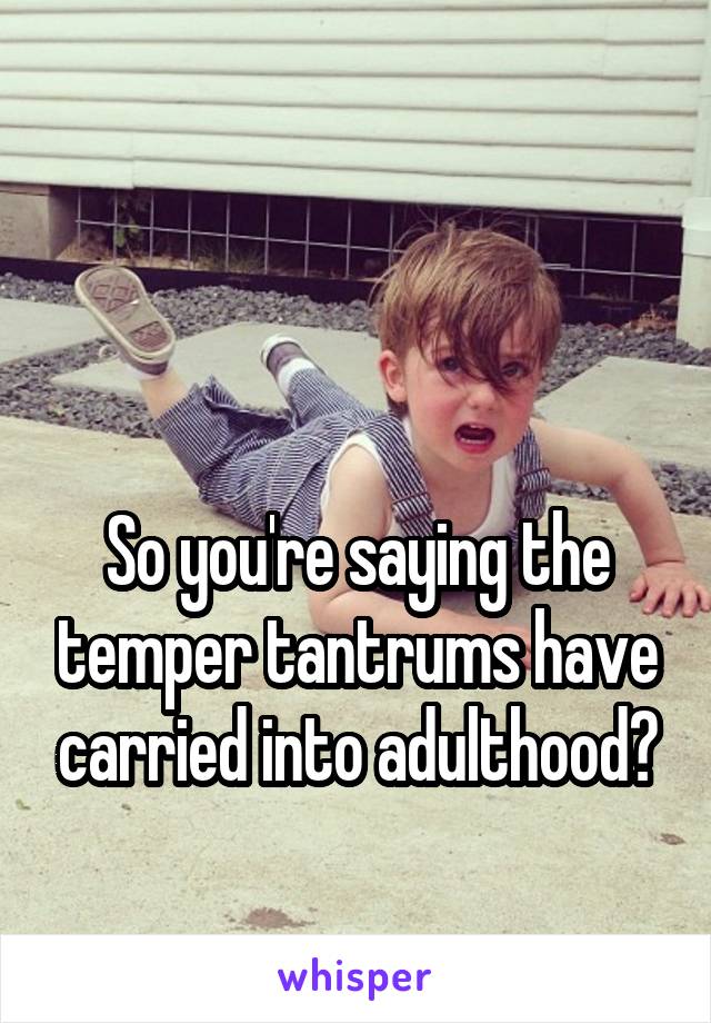 


So you're saying the temper tantrums have carried into adulthood?