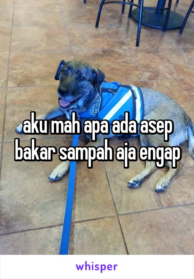 aku mah apa ada asep bakar sampah aja engap