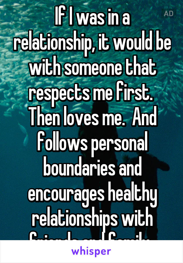 If I was in a relationship, it would be with someone that respects me first.  Then loves me.  And follows personal boundaries and encourages healthy relationships with friends and family. 