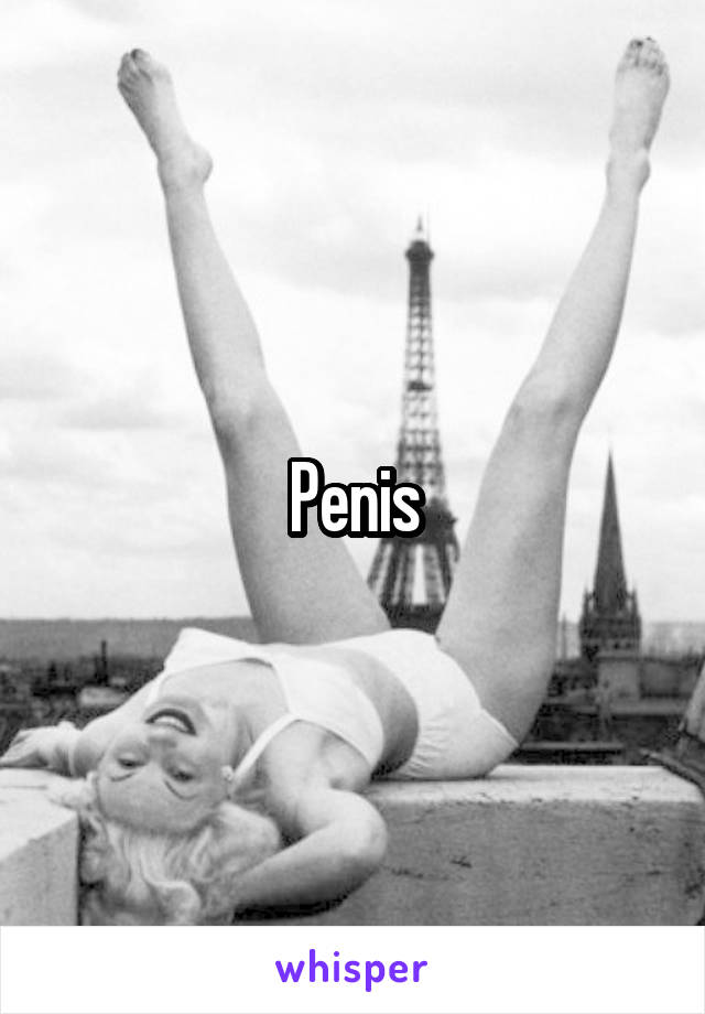 Penis