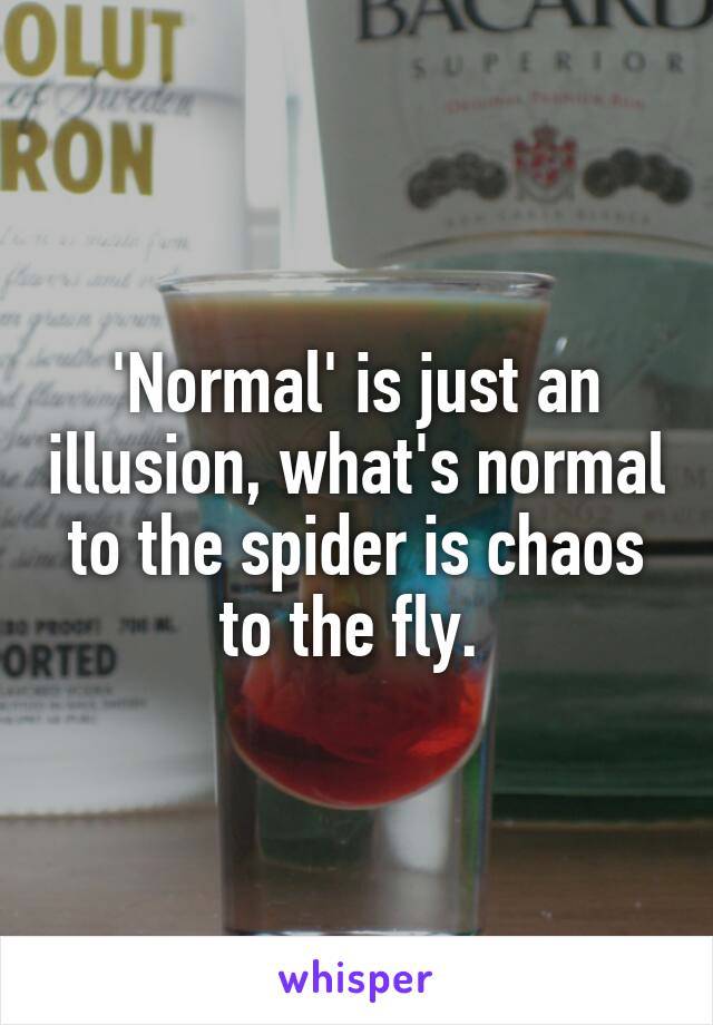 'Normal' is just an illusion, what's normal to the spider is chaos to the fly. 