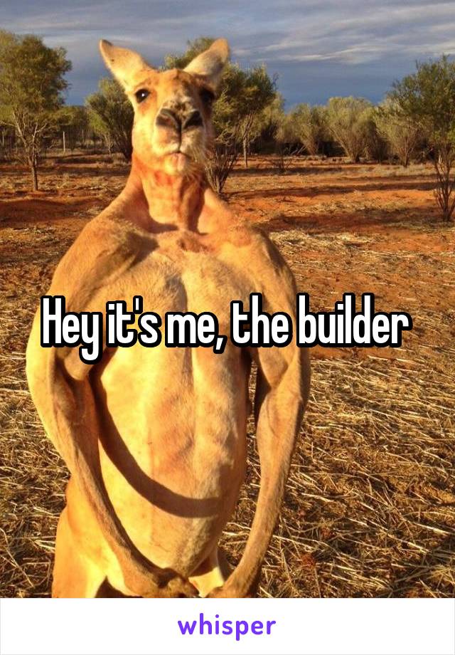 Hey it's me, the builder 
