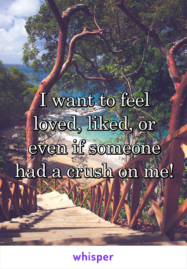 I want to feel loved, liked, or even if someone had a crush on me!