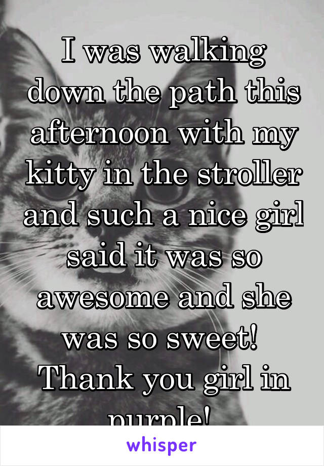I was walking down the path this afternoon with my kitty in the stroller and such a nice girl said it was so awesome and she was so sweet! 
Thank you girl in purple! 