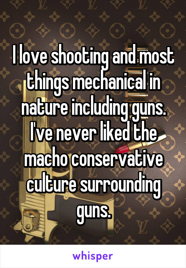 I love shooting and most things mechanical in nature including guns. I've never liked the macho conservative culture surrounding guns.