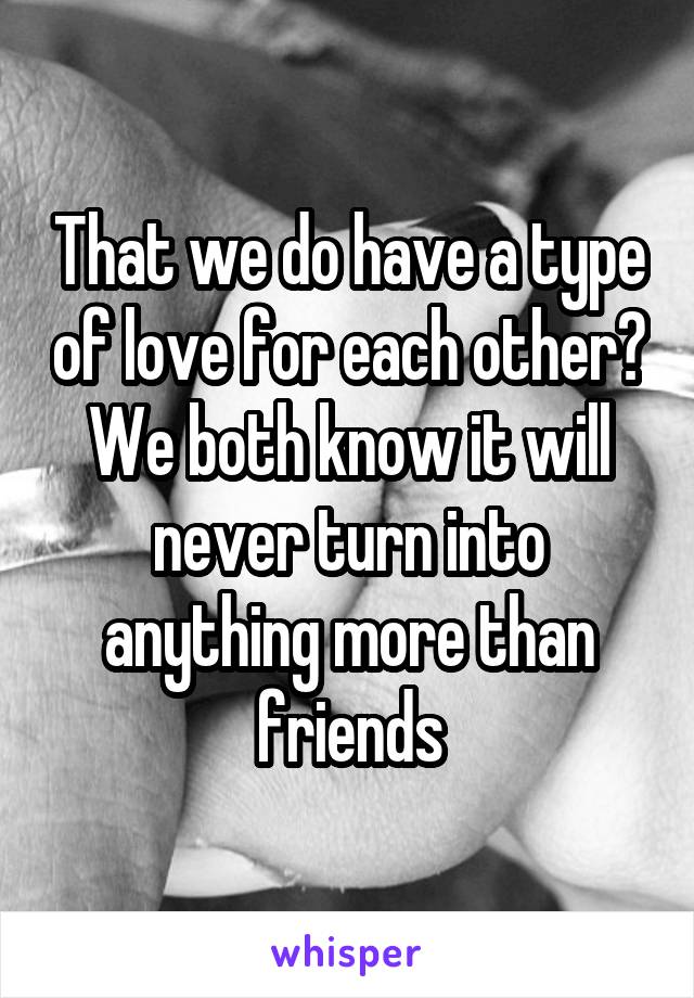 That we do have a type of love for each other? We both know it will never turn into anything more than friends