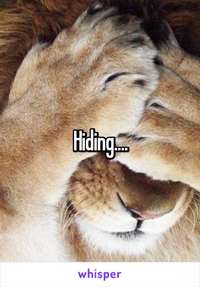 Hiding....