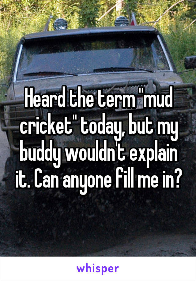 Heard the term "mud cricket" today, but my buddy wouldn't explain it. Can anyone fill me in?