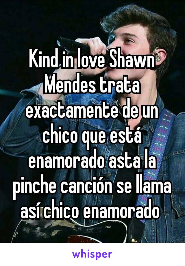 Kind in love Shawn Mendes trata exactamente de un chico que está enamorado asta la pinche canción se llama así chico enamorado 